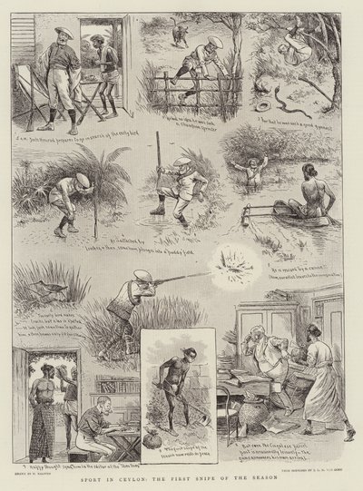セイロンのスポーツ、シーズンの最初の狙撃 作： William Ralston